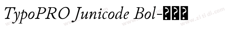 TypoPRO Junicode Bol字体转换